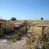 Il terreno privato che ingloba questo trascurato gioiello si estende in contrada Tesoro, nell'agro a nord-ovest del paese e lambisce la strada provinciale 21 che porta a Bitritto